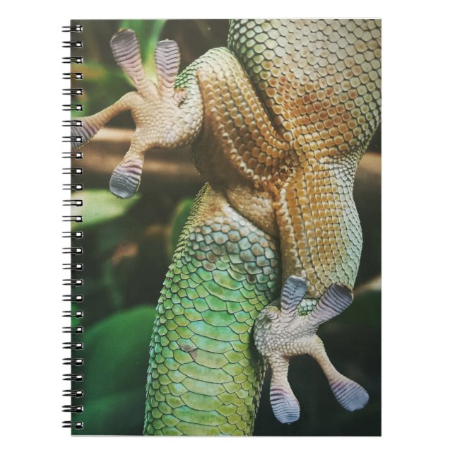 Gecko Feet Notebook (Front)