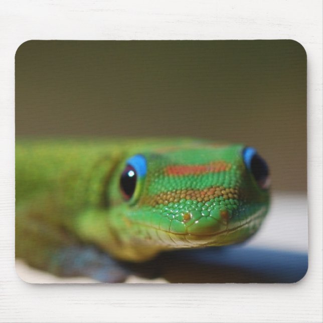 Gecko Friend Mouse Pad (Front)