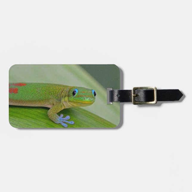 gecko green taro luggage tag (Front Horizontal)