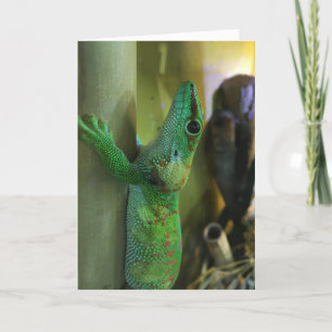 gecko greeting card #2 (encouragement)
