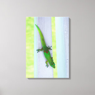 Gecko in Hawaii - Vertical Canvas Print