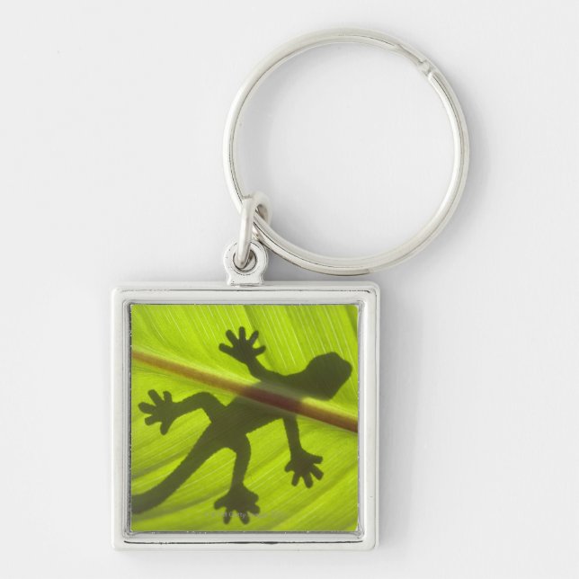 Gecko Keychain (Front)