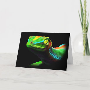 Gecko Lizard Rainbow Colours Greeting Cards