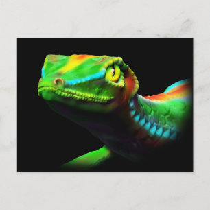 Gecko Lizard Rainbow Colours Postcards