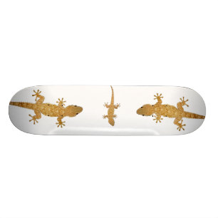 Gecko lizard reptile skateboard