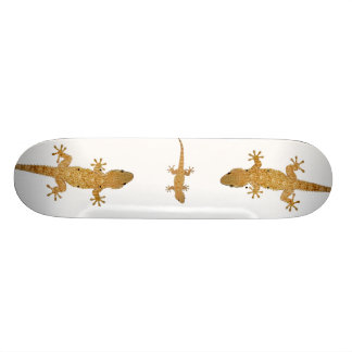 Gecko lizard reptile skateboard