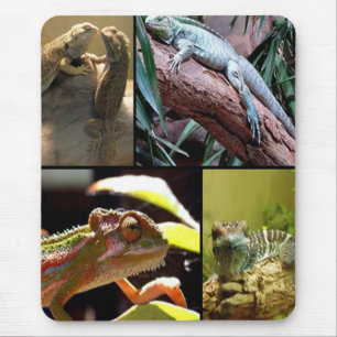 Gecko lizards and Chameleons Mouse Pad