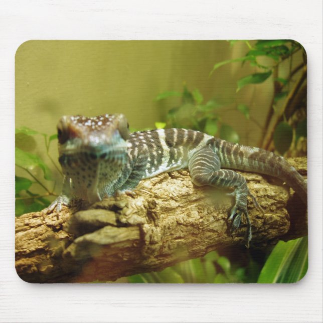 Gecko Mousepad (Front)