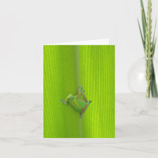 Gecko Notecard