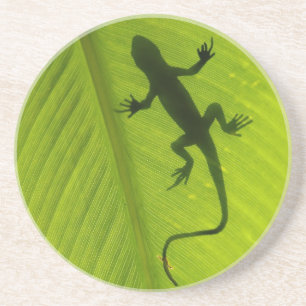 Gecko Silhouette Coaster