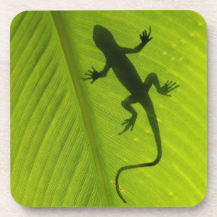 Gecko Silhouette Coaster