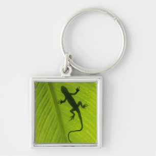 Gecko Silhouette Keychain