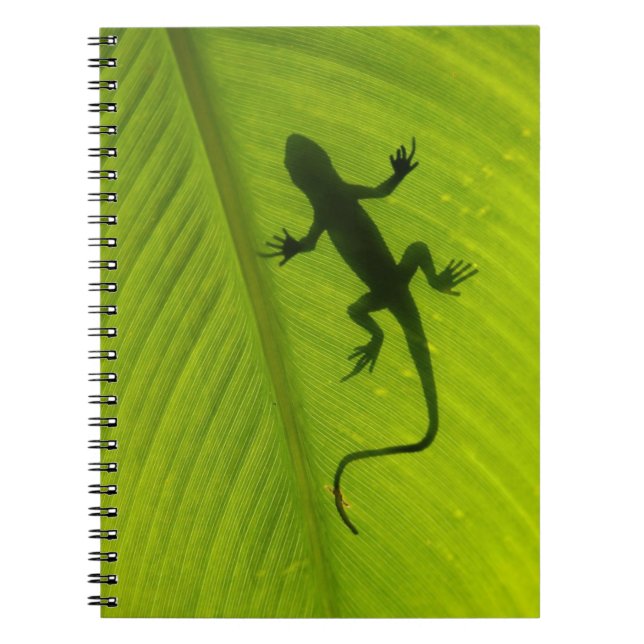 Gecko Silhouette Notebook (Front)