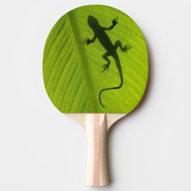 Gecko Silhouette Ping Pong Paddle (Front)