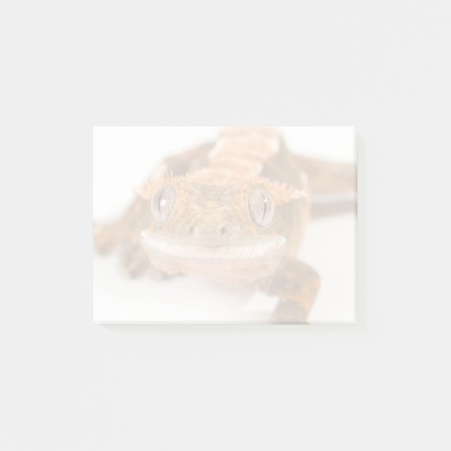 Gecko Stare Post-it Notes (Front)