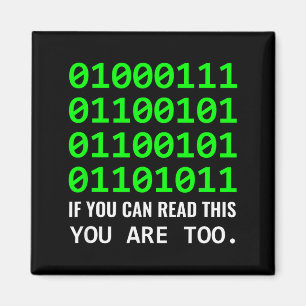 Geek Computer Binary Code Software Developer  Magnet