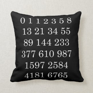 Geek Gift Math Lover Pillow Science Numbers Pillow
