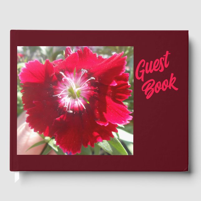 Geertje Guest Book (Front)