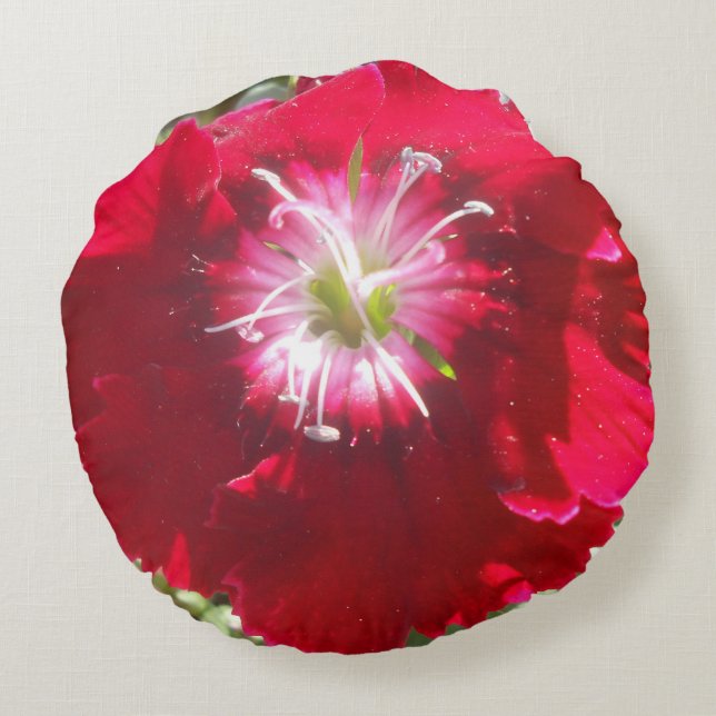 Geertje Round Pillow (Back)