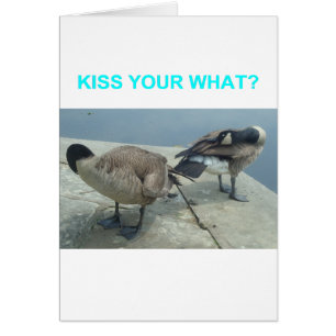 Geese