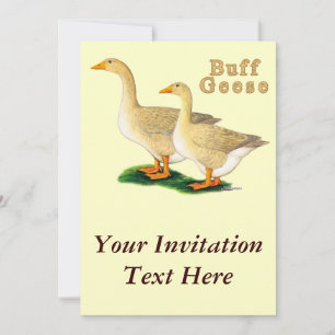 Geese: American Buffs Invitation
