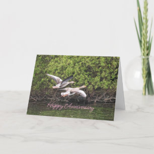 Geese Anniversary Thank You Card