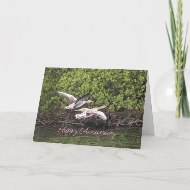 Geese Anniversary Thank You Card (Front)