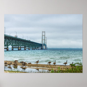 Geese At Mighty Mac Poster