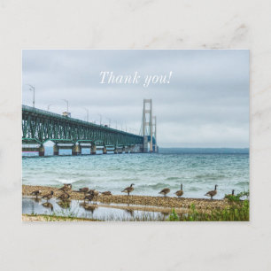 Geese At Mighty Mac Thank you Postcard