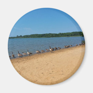 Geese at Silver Lake, Wisconsin Magnet