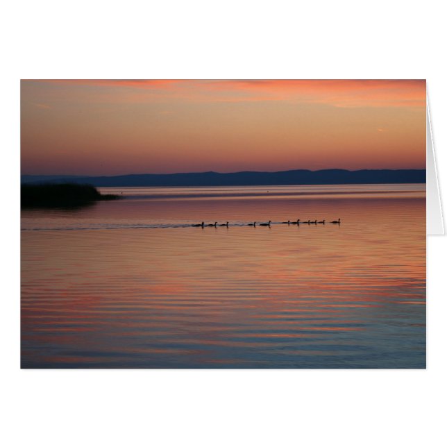 Geese at Sunset (Front Horizontal)