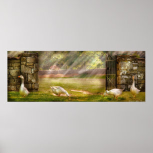 Geese - Birds of a Feather Panorama Poster