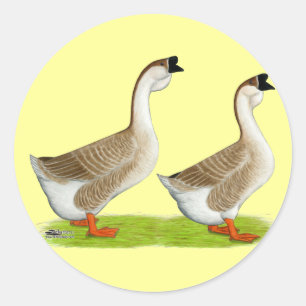 Geese:  Buff African Classic Round Sticker