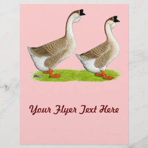 Geese: Buff African Flyer