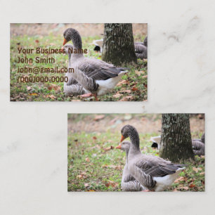 Geese Business Card