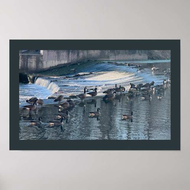 Geese by Waterfall Photo Poster (Front)