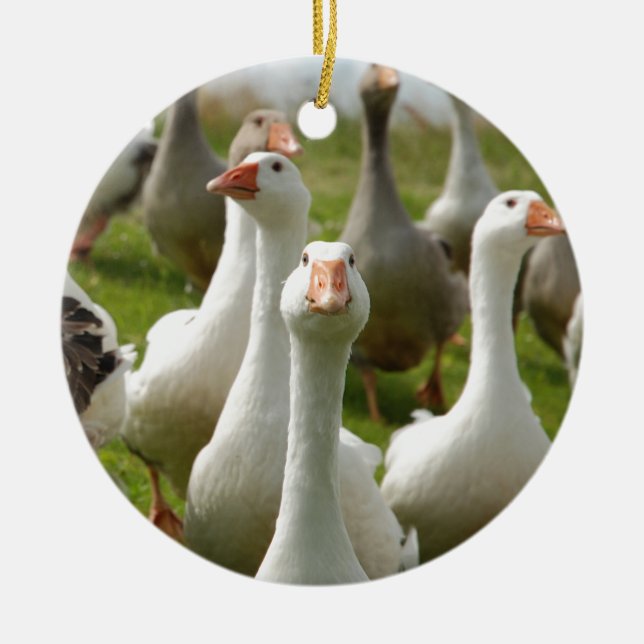 Geese Ceramic Ornament (Front)