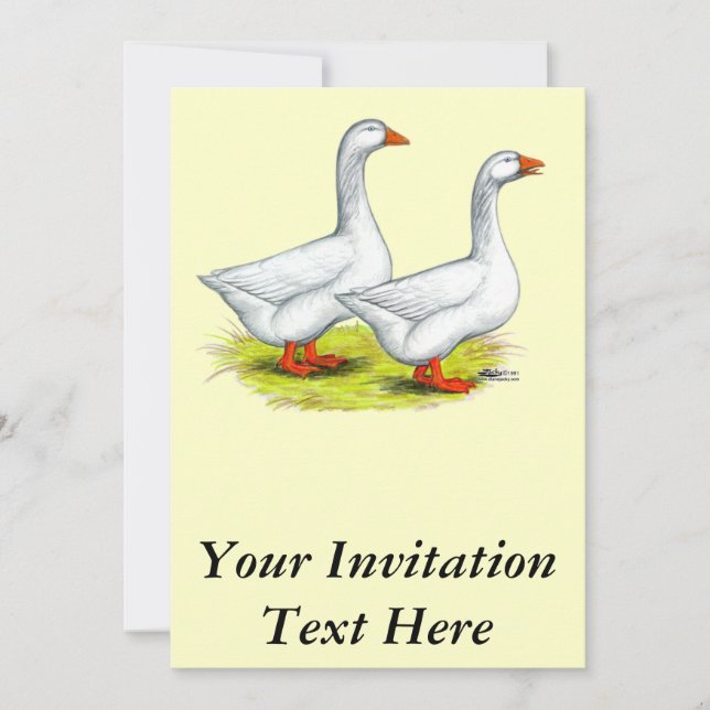 Geese:  Embden Pair Invitation (Front)