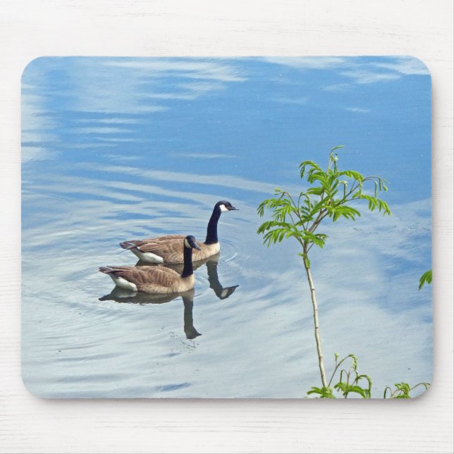 Geese Enjoying a Swim Mouse Pad (Front)