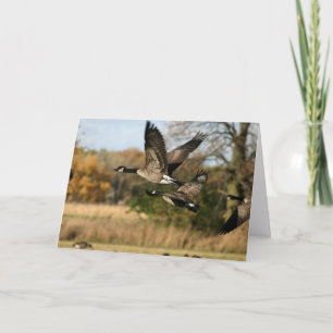 Geese in Flight in Autumn Blank Notecard