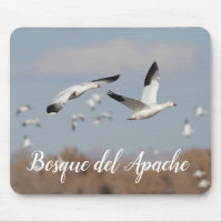 Geese in the Bosque del Apache skies
