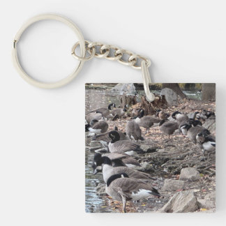 Geese in the Park Key Chain