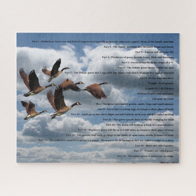 GEESE JIGSAW PUZZLE (Horizontal)