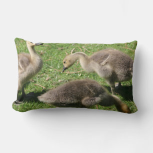 Geese on the Grass Lumbar Pillow