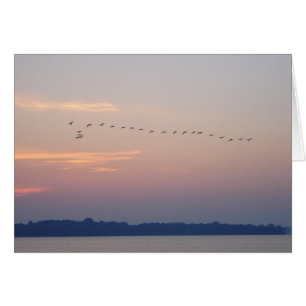Geese over White Bear Lake