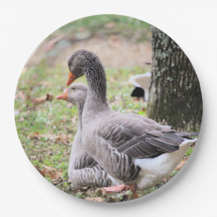 Geese paper plate