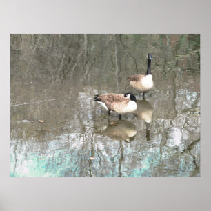  GEESE REFLECTIONS POSTER