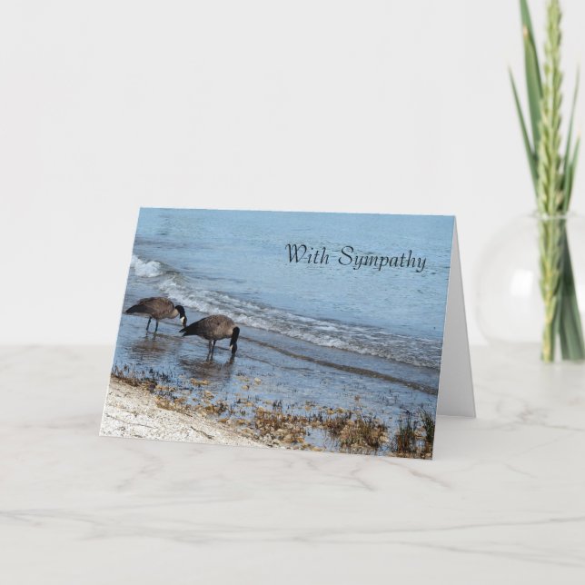 Geese Sympathy Card (Front)