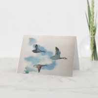 Geese