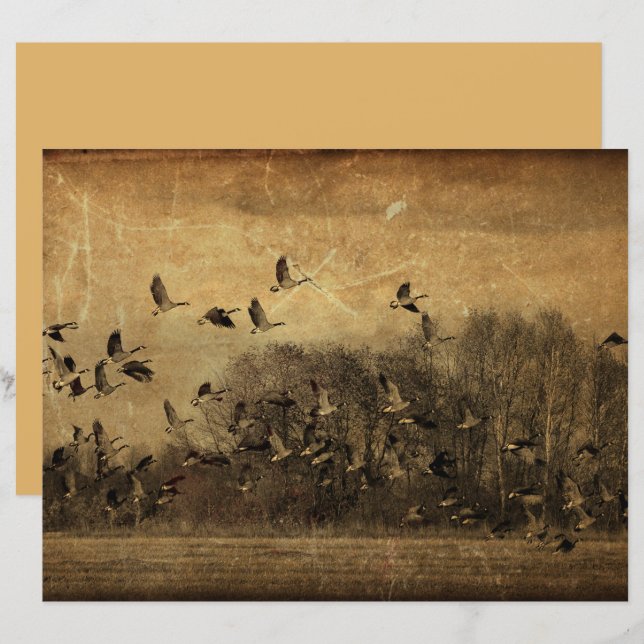 Geese Vintage Antique Sepia Wildlife Texture (Front/Back)